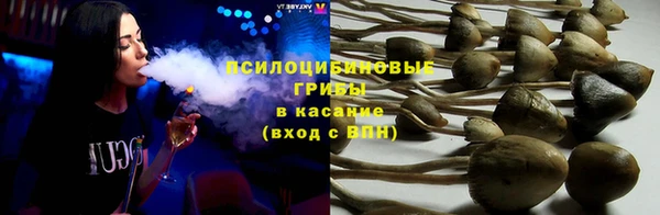 apvp Бугульма