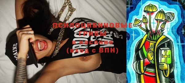 ГАЛЛЮЦИНОГЕННЫЕ ГРИБЫ Бронницы