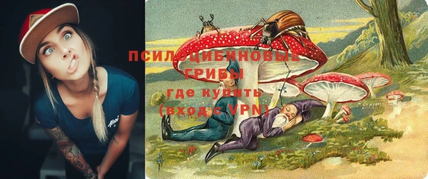 apvp Бугульма