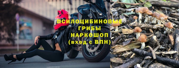 ГАЛЛЮЦИНОГЕННЫЕ ГРИБЫ Бронницы