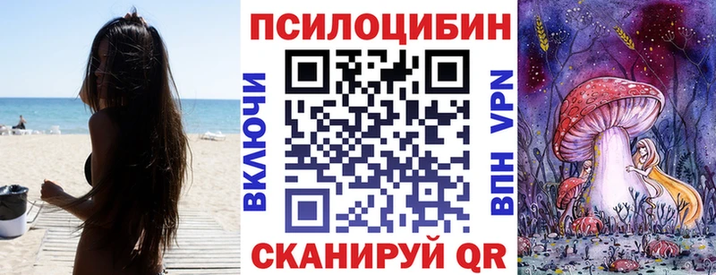 нарко площадка как зайти  Дедовск  Псилоцибиновые грибы Psilocybe 